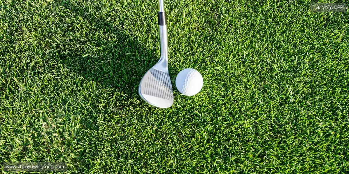 🏀现场尖叫同步传递，用激情点燃每个屏幕前的你！🎉